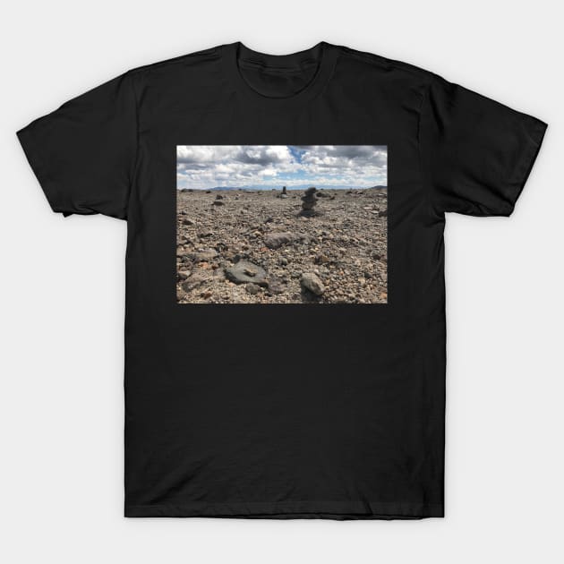 Stacked Rocks T-Shirt by ThatBird